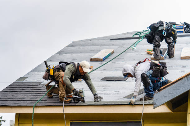 Professional Gutter Installation technician working in Camp Hill, AL